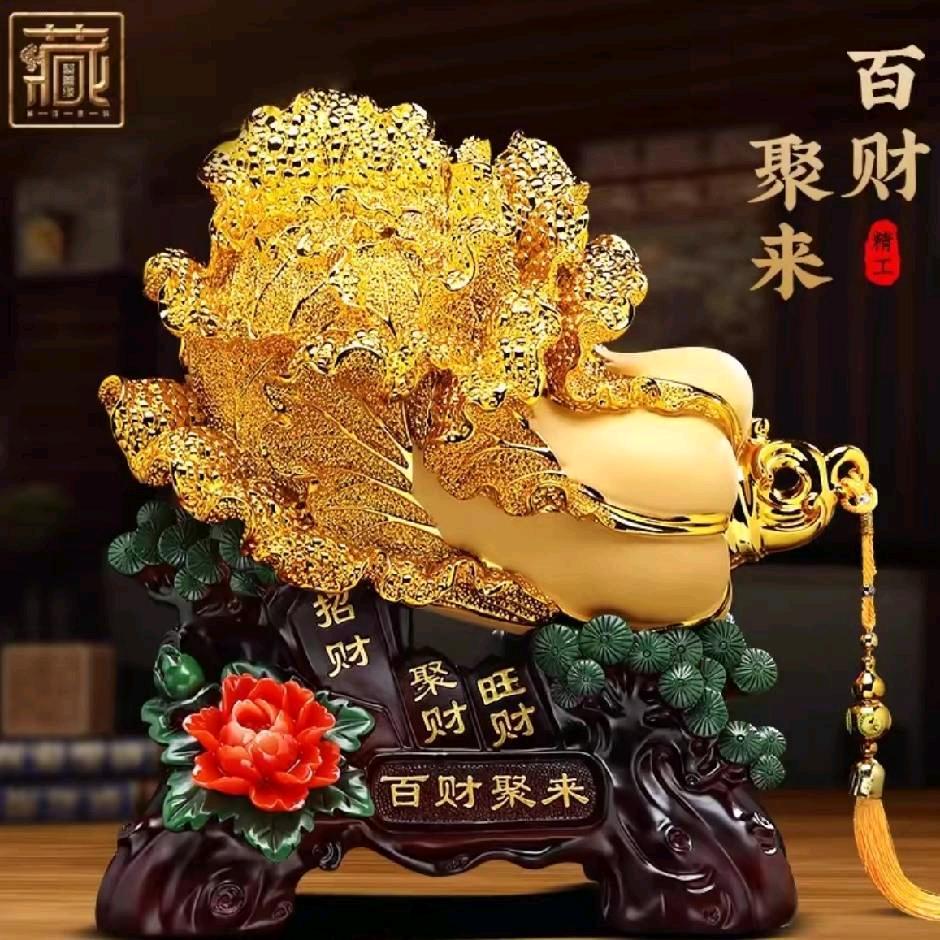 大增驾校韩教练