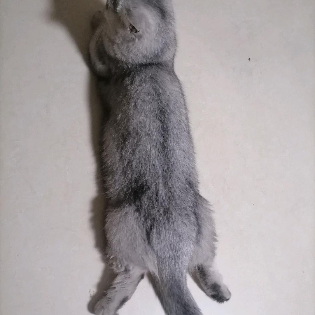 自然醒