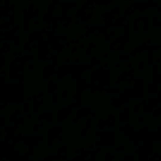 5558756