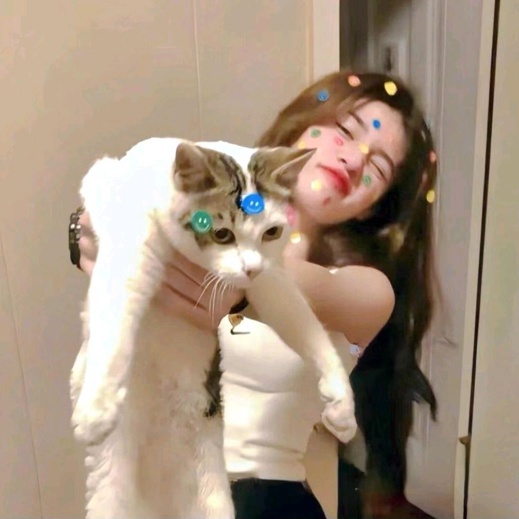 星光宠物