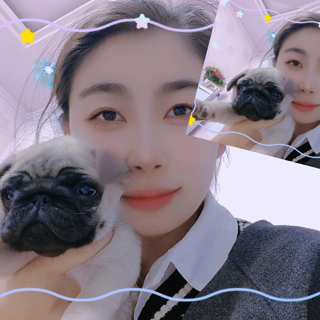 王乐——厂房租售