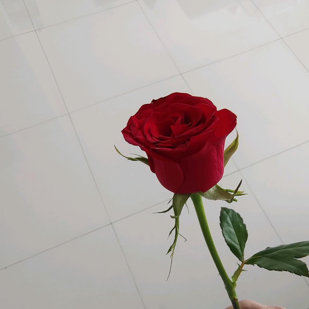 一朵小红花头像