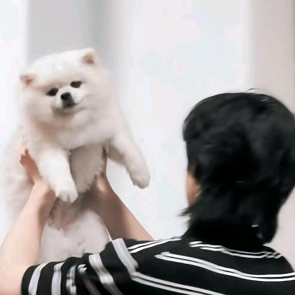呜呜呜我爱吃芒果