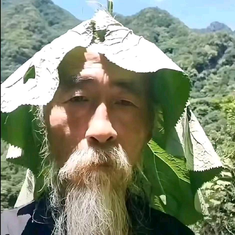 徐尔盖杨
