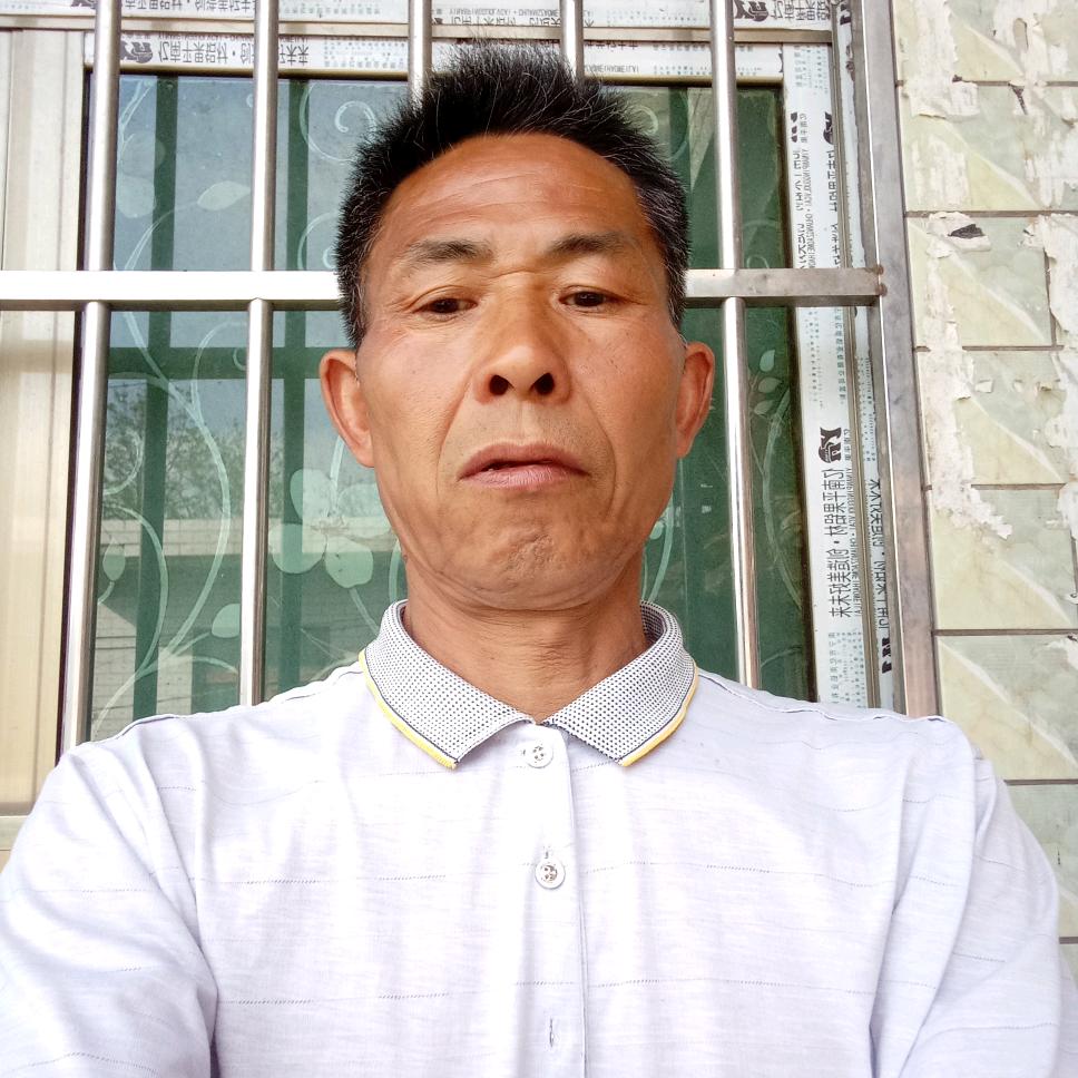 山哥陈哥