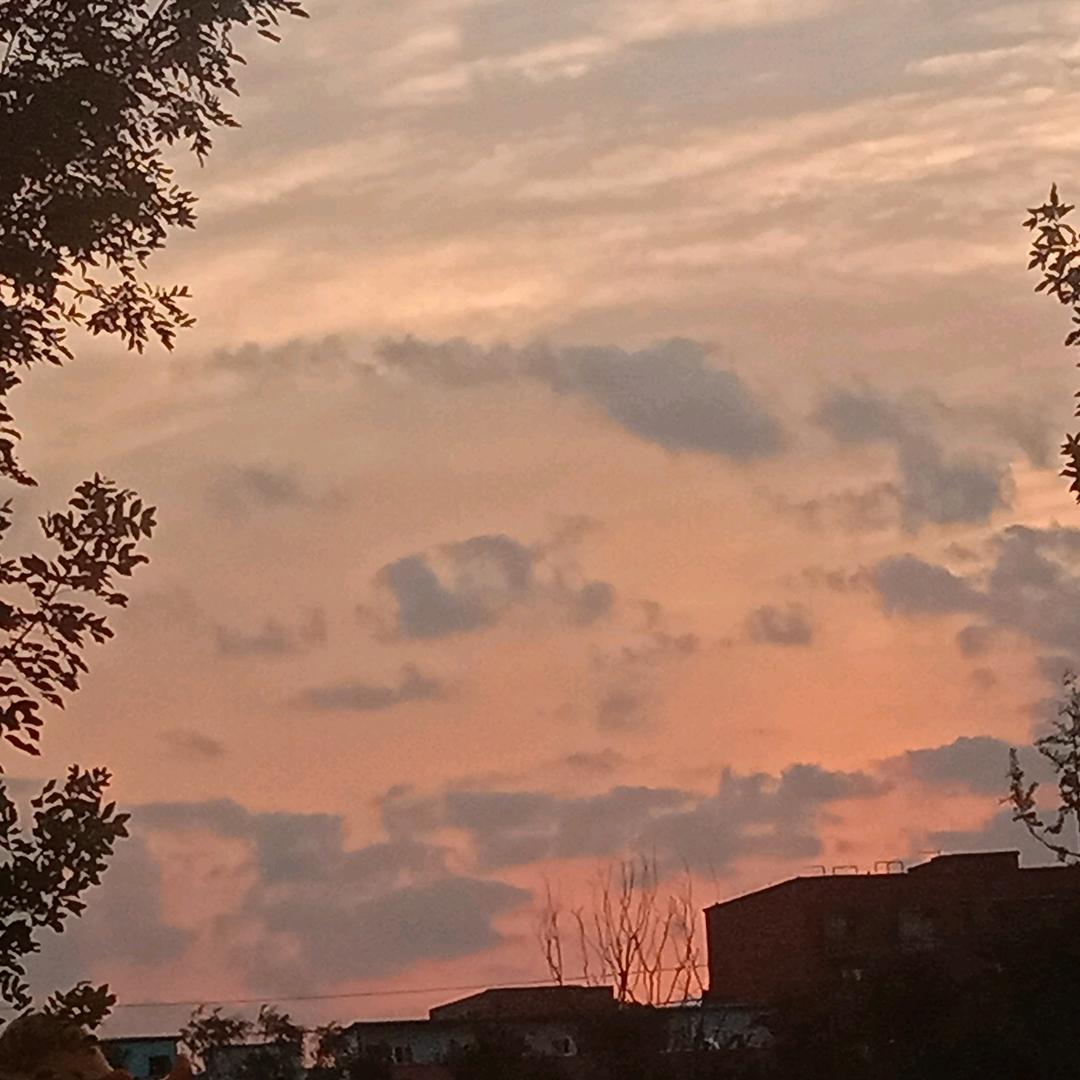 枫叶🍁🍁🍁🍁