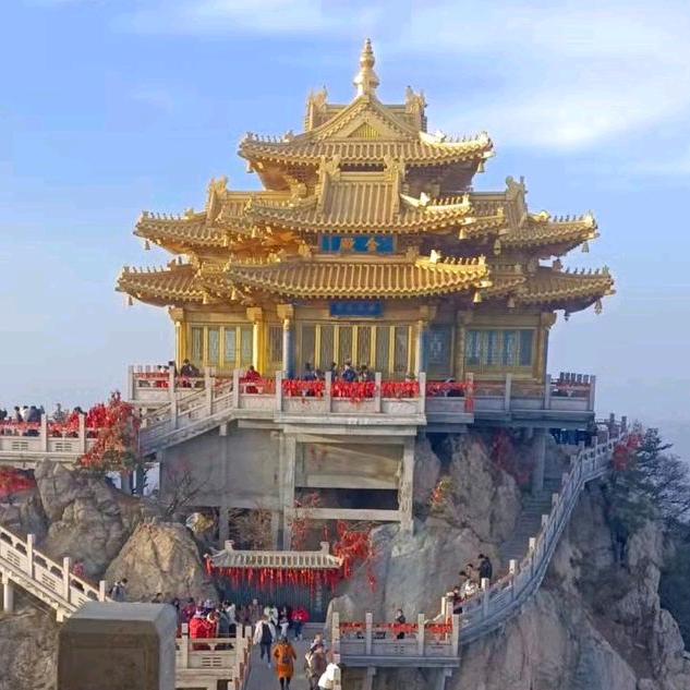 杨哥