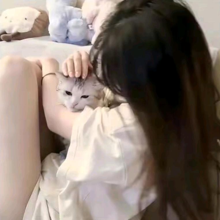 夏笙