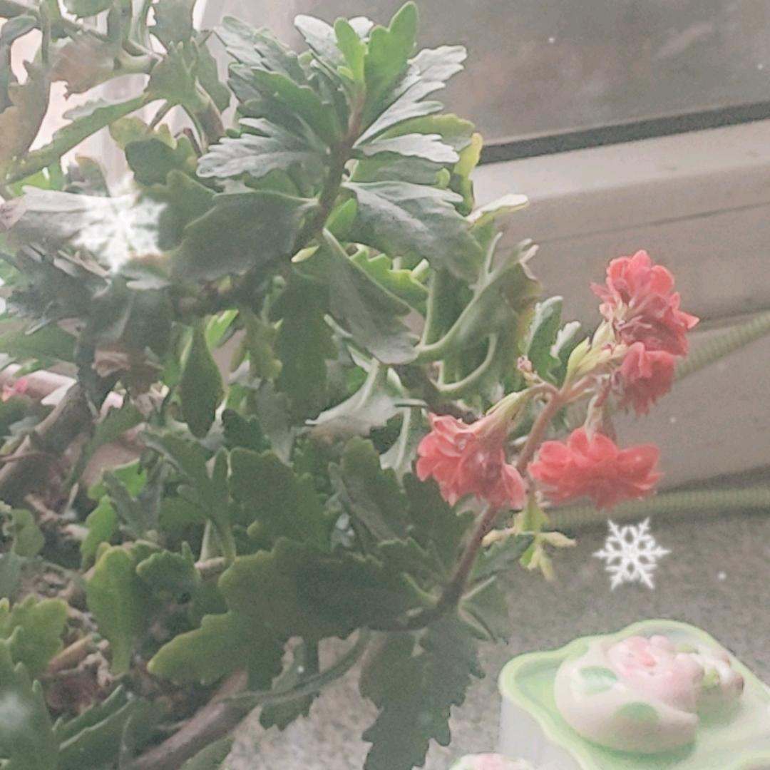 抹不掉的记忆690