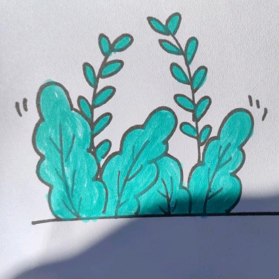 Happy everyday(放假中)