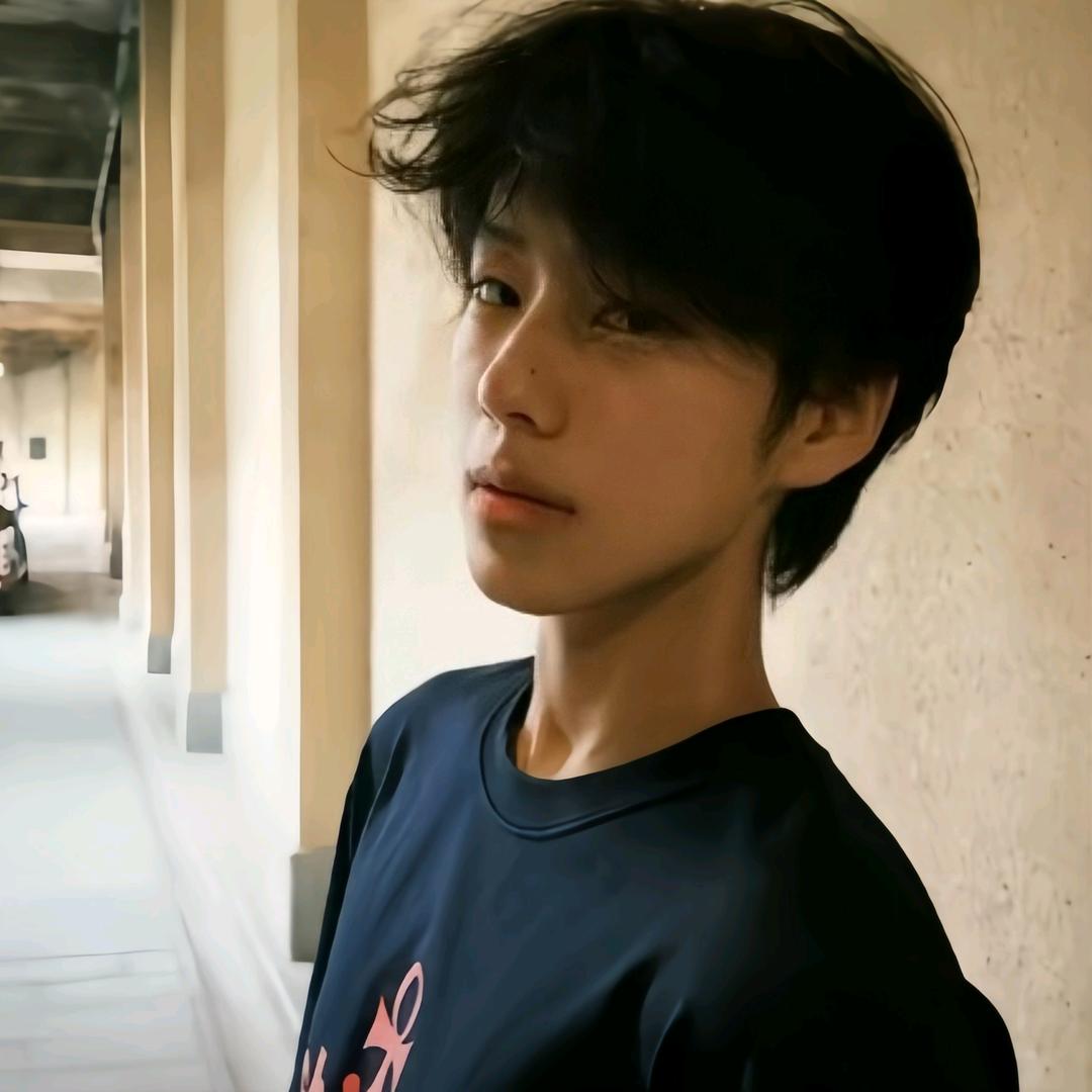 陈述