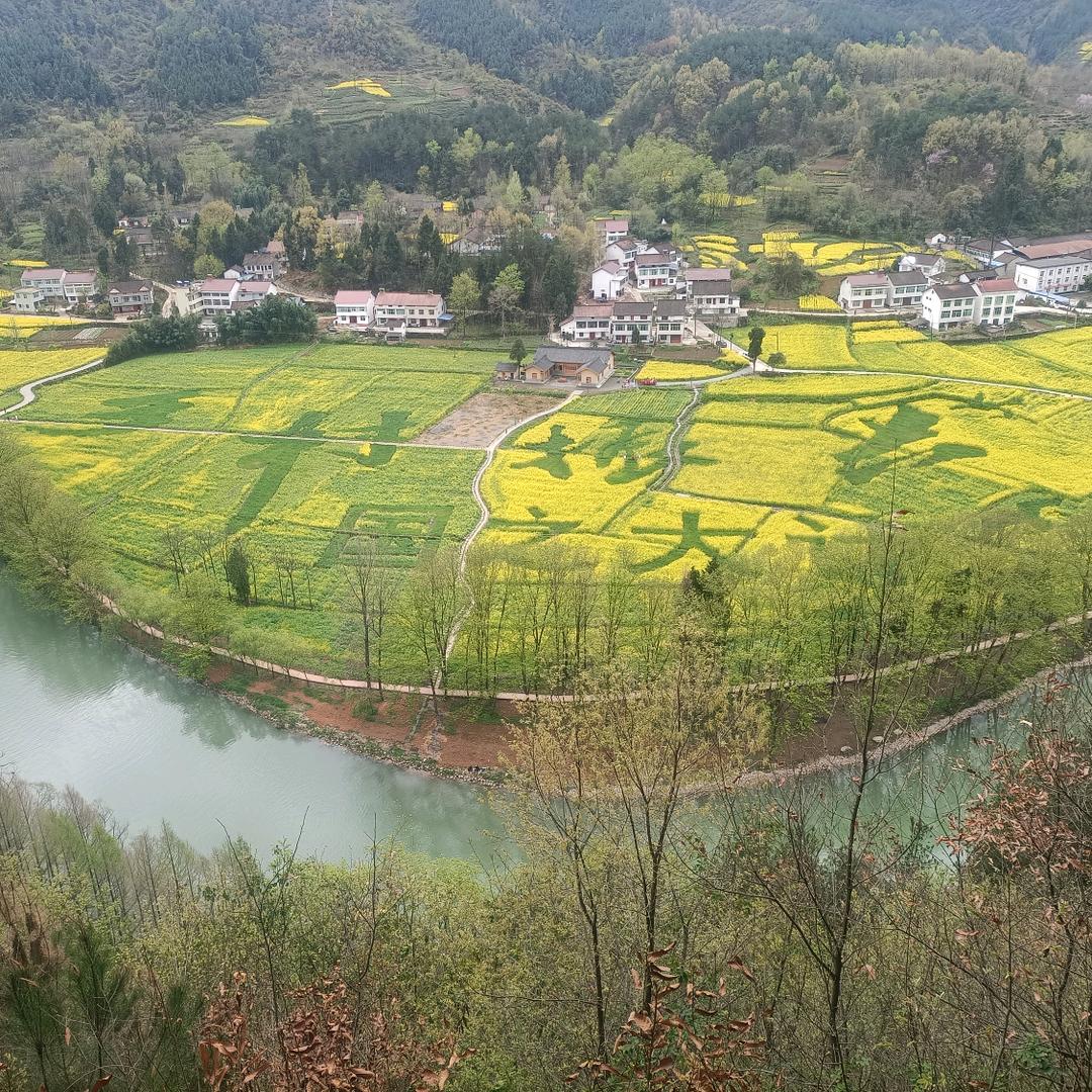 不羁的风