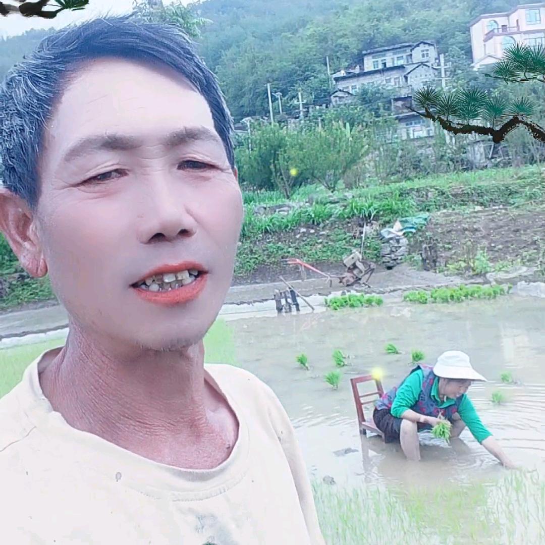 我姓杨专业做泥水工，索拉