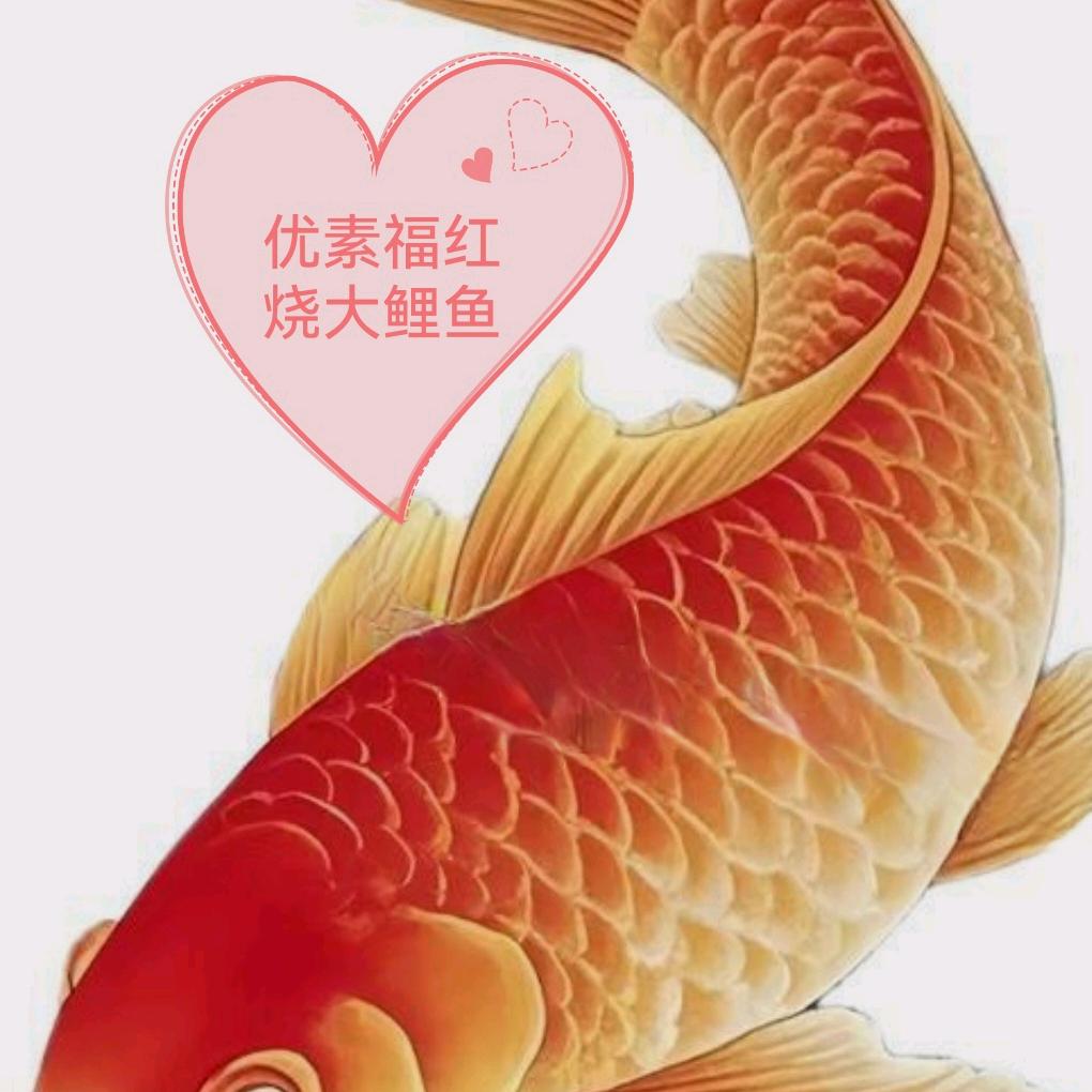 优素福红烧大鲤鱼