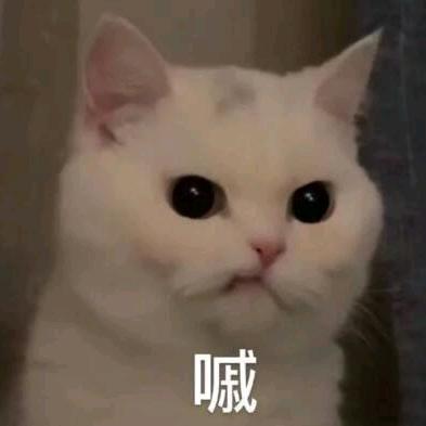 荒年