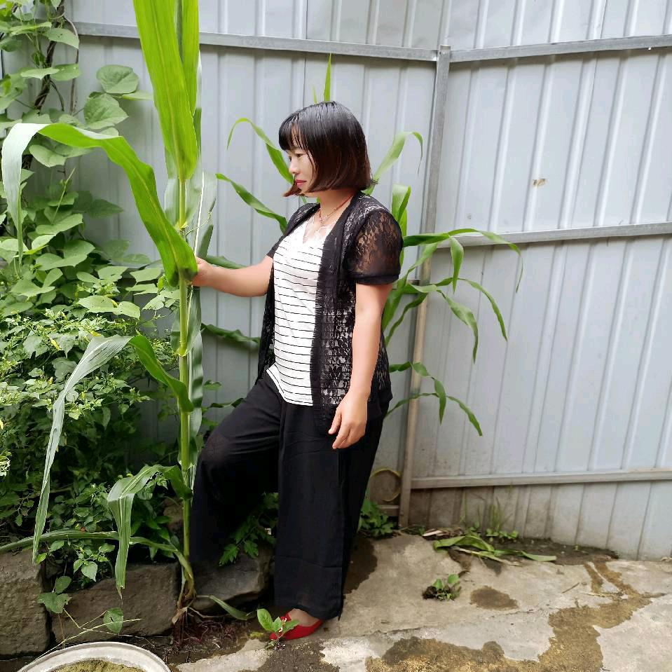 输过败过，但我不曾怕过