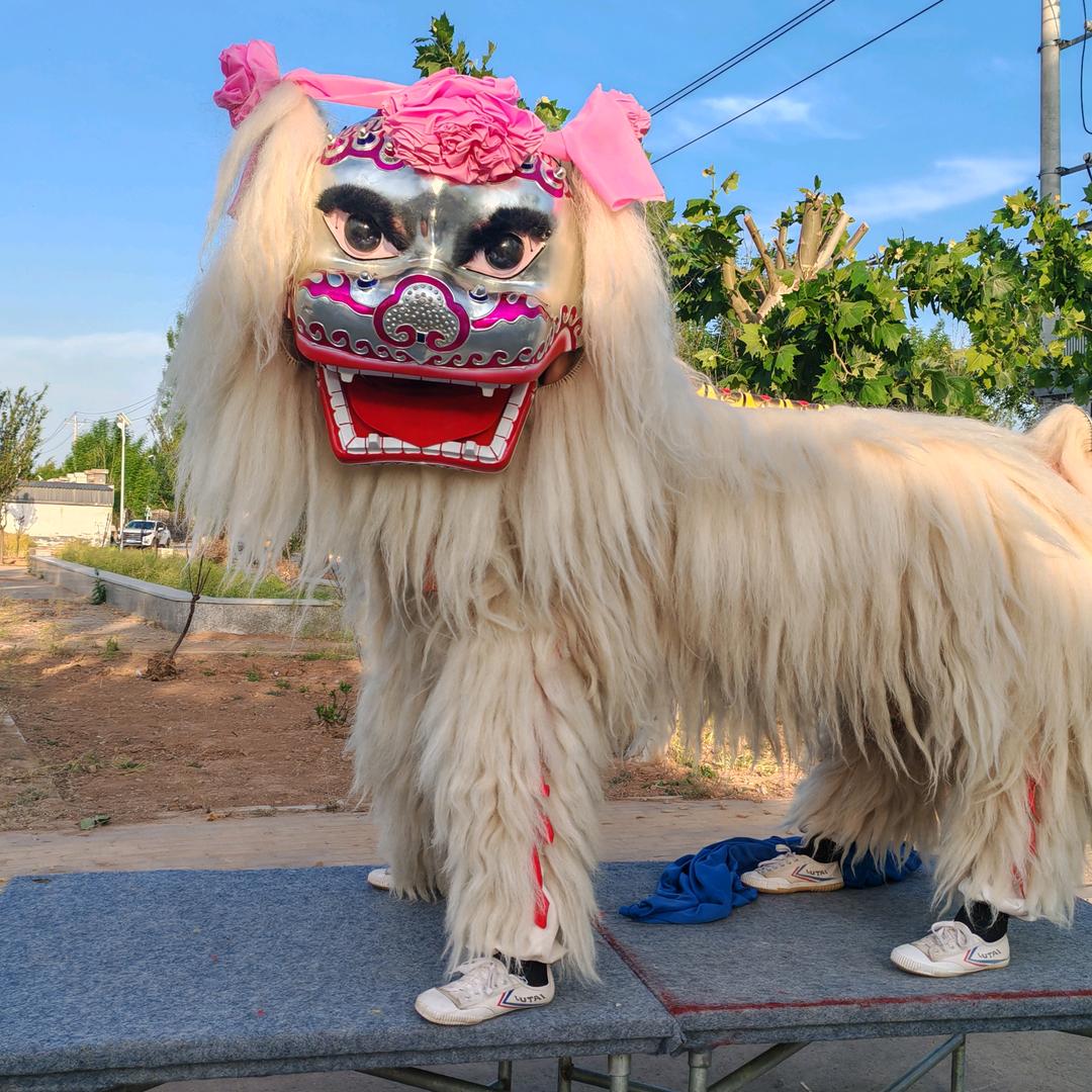 河北舞狮团
