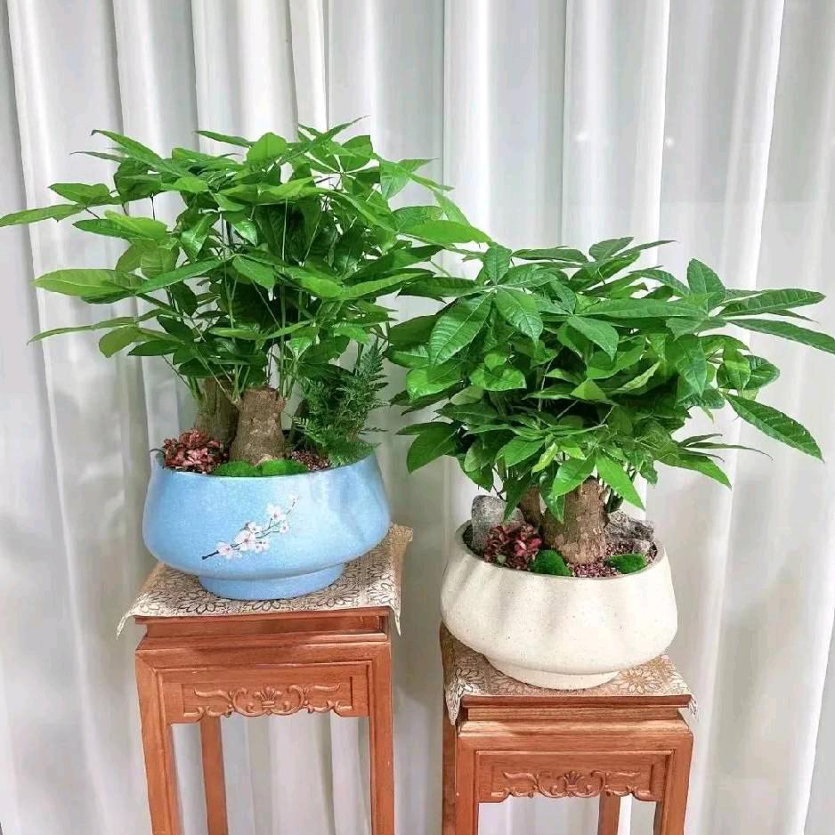 开心快乐每一天，