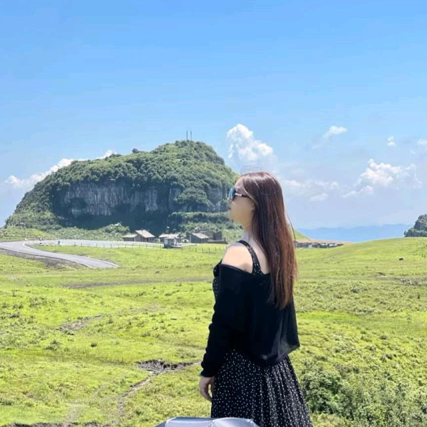 努力的小何何