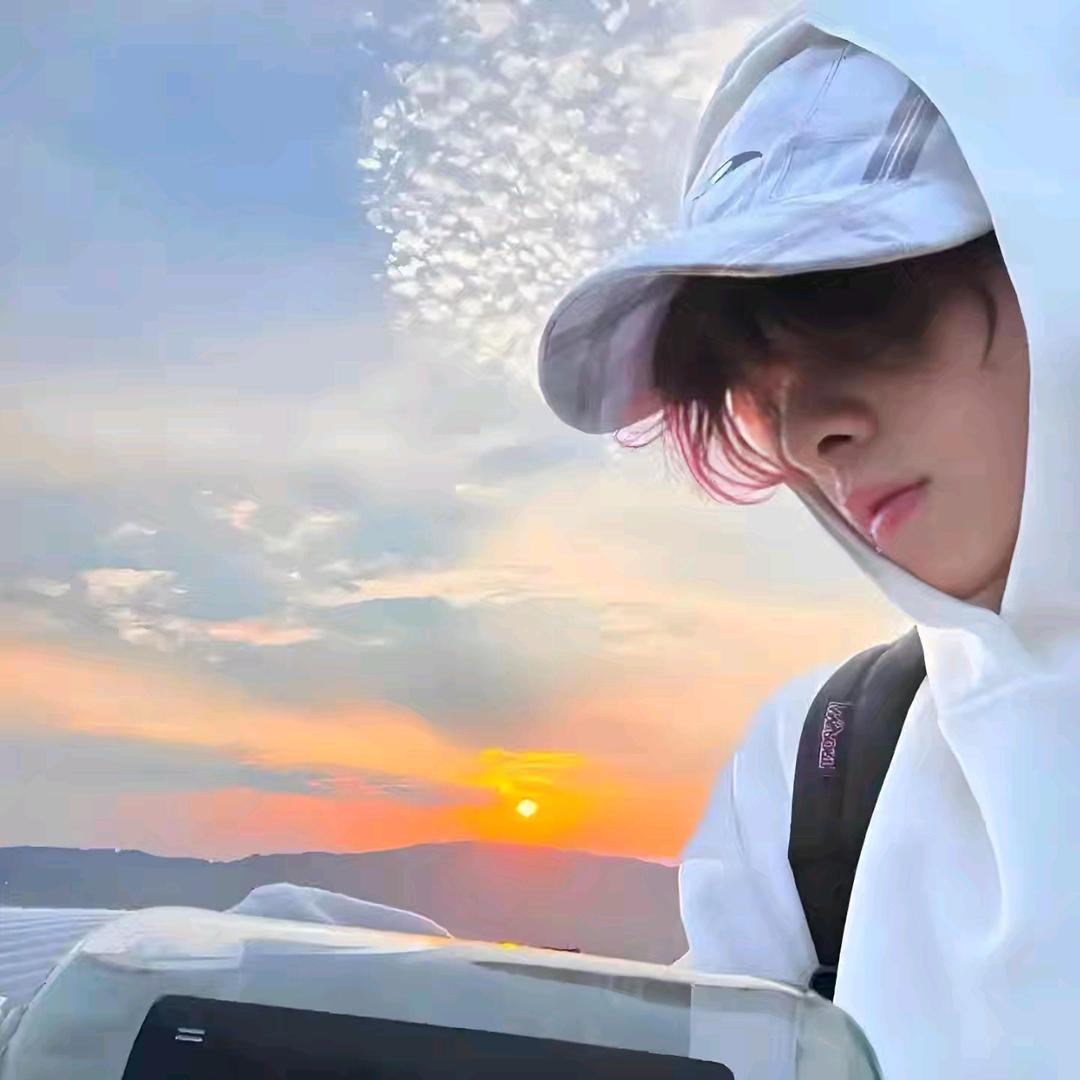 冰箱上的仙人掌