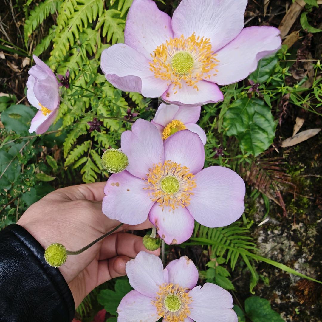 ☆路一直都在☆