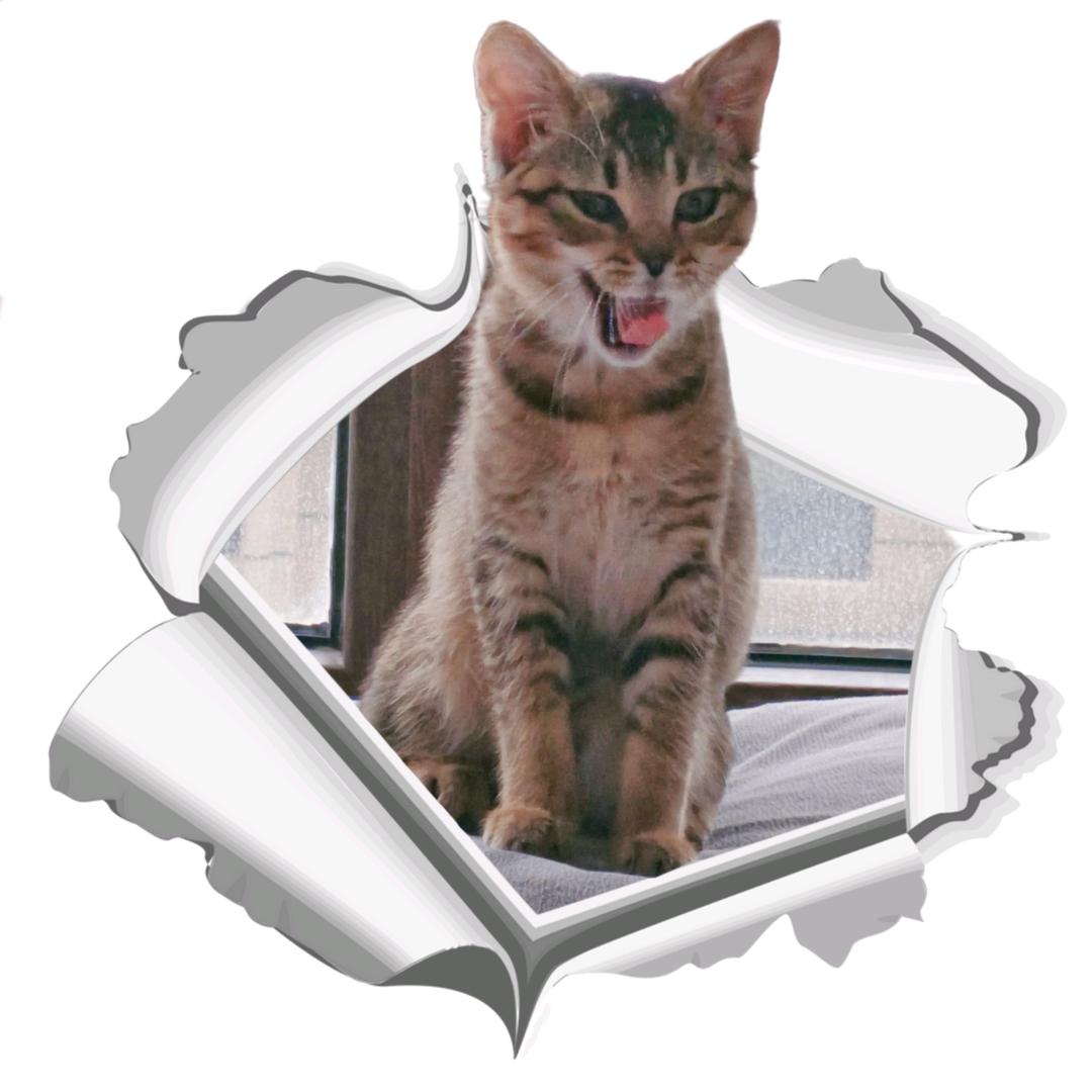 点点滴滴☞♥☜