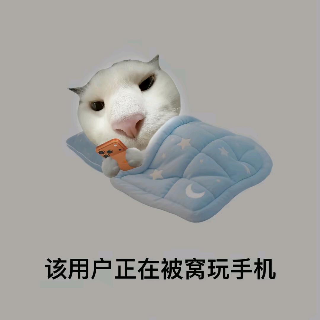小羊o椰
