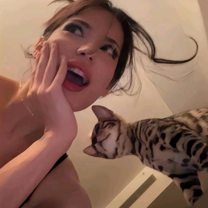 讨厌吃菠菜