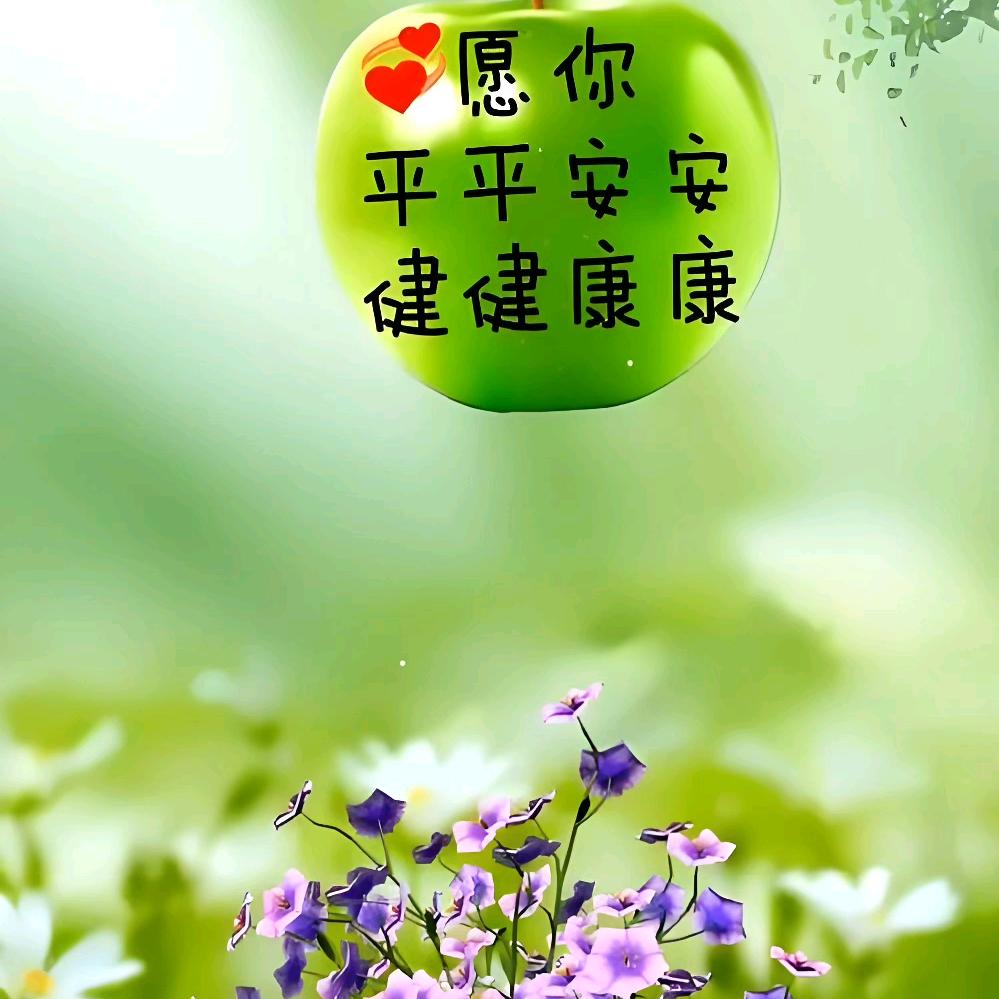 ⭐️安老师讲康养