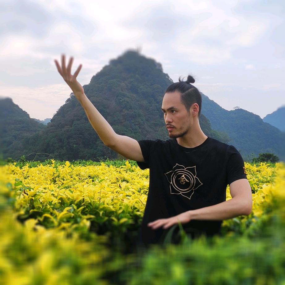 穿花衬衫的剑客