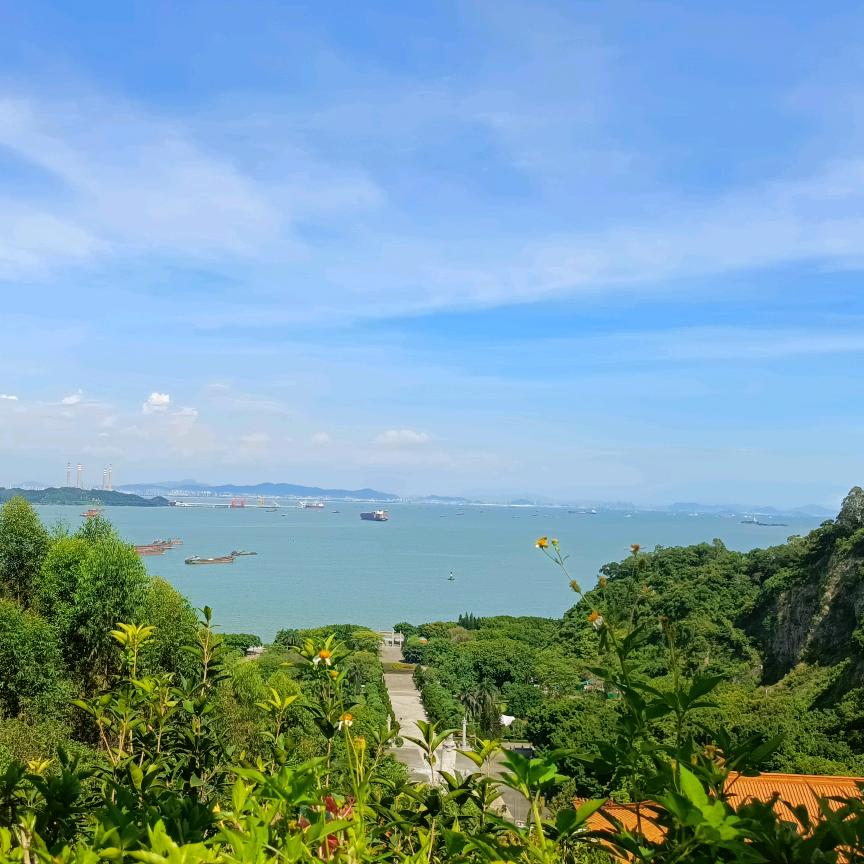 繁华落尽终是灰