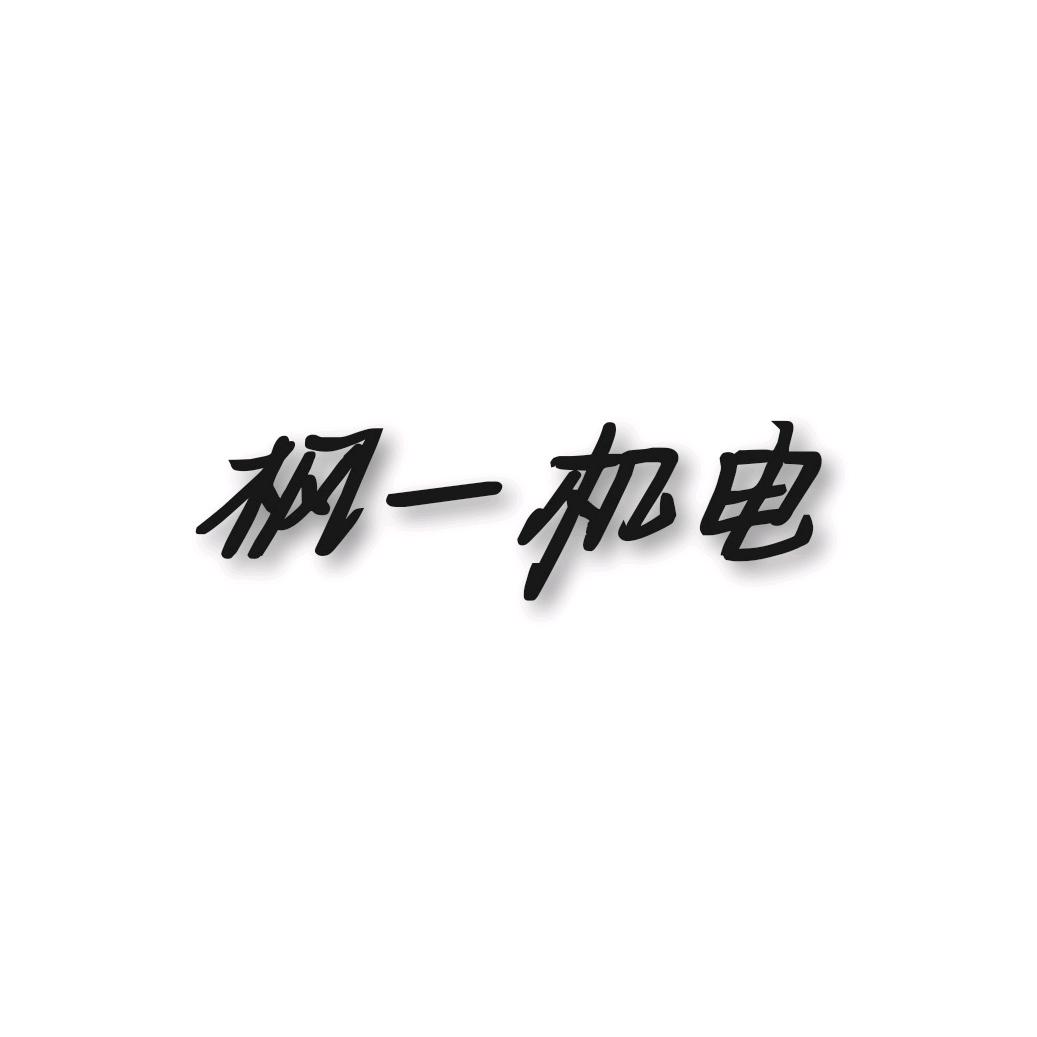 贵州枫一机电有限公司