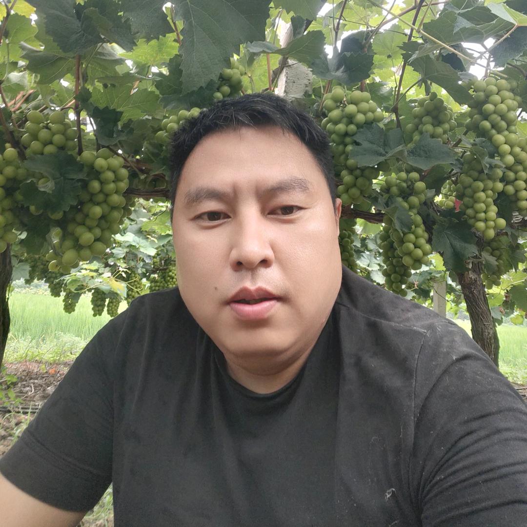 顺哥哥好物精选