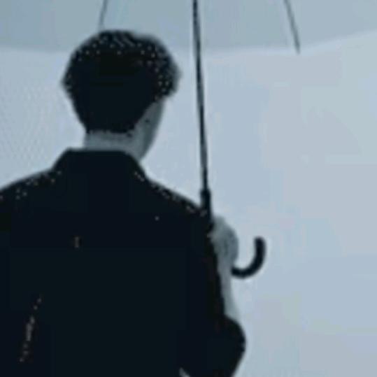 清早的阳光