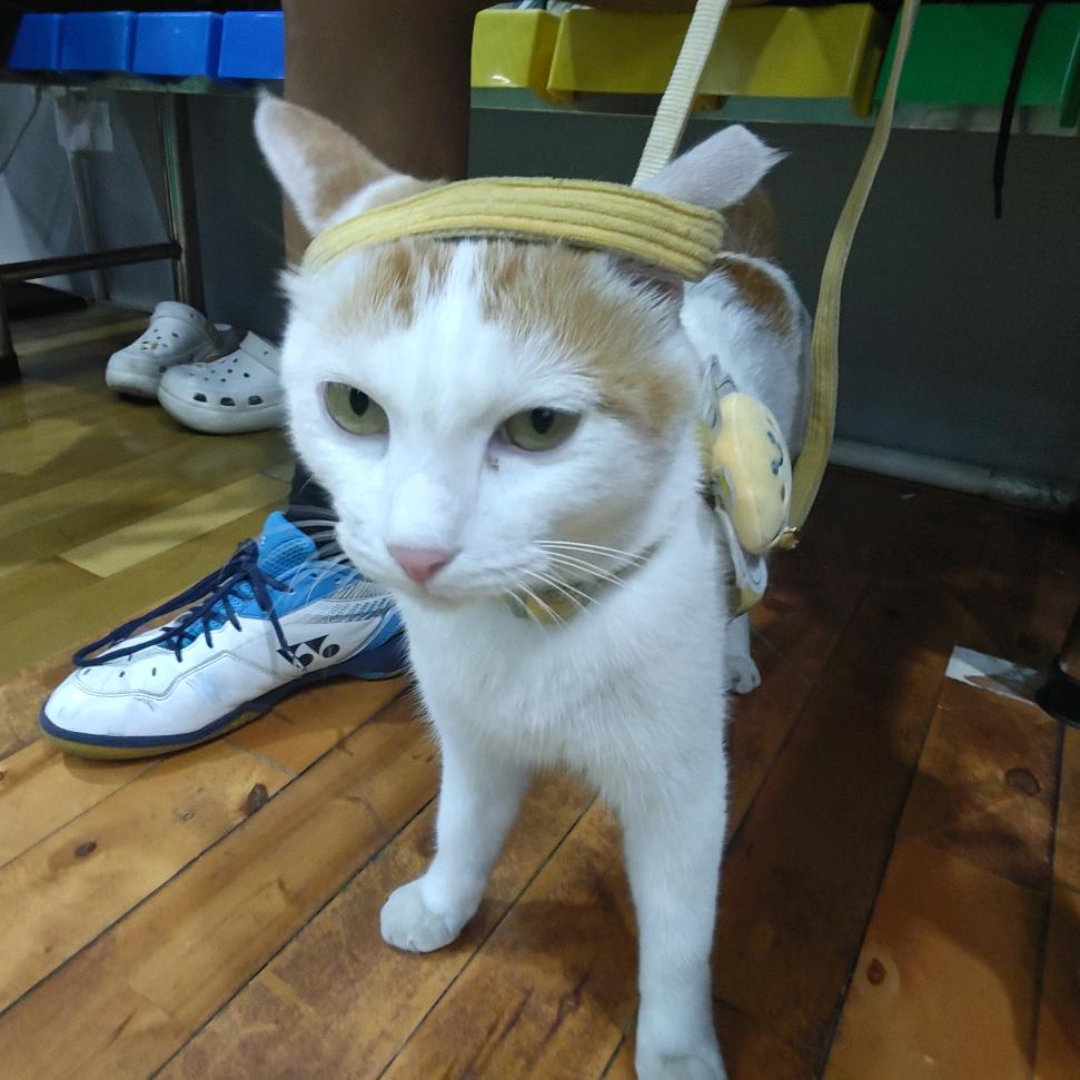 。