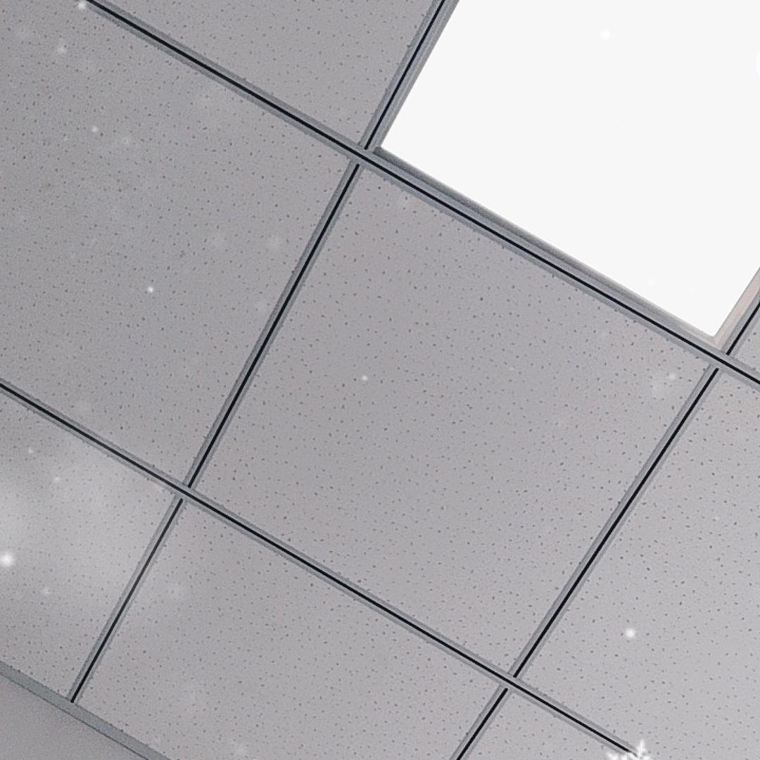 25653283091