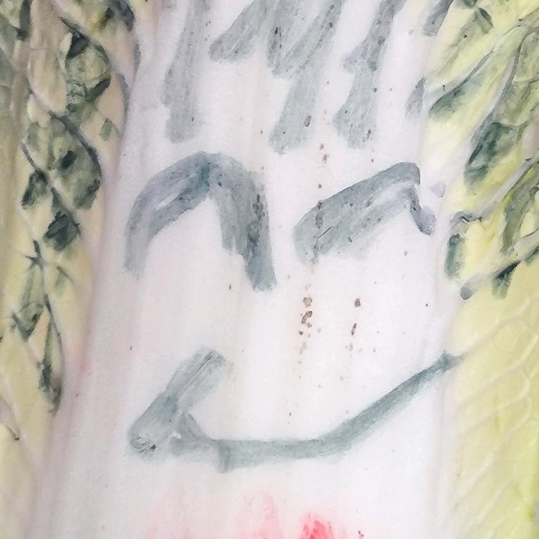 娃娃菜(目标280万)
