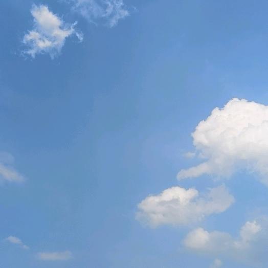 人间清醒……