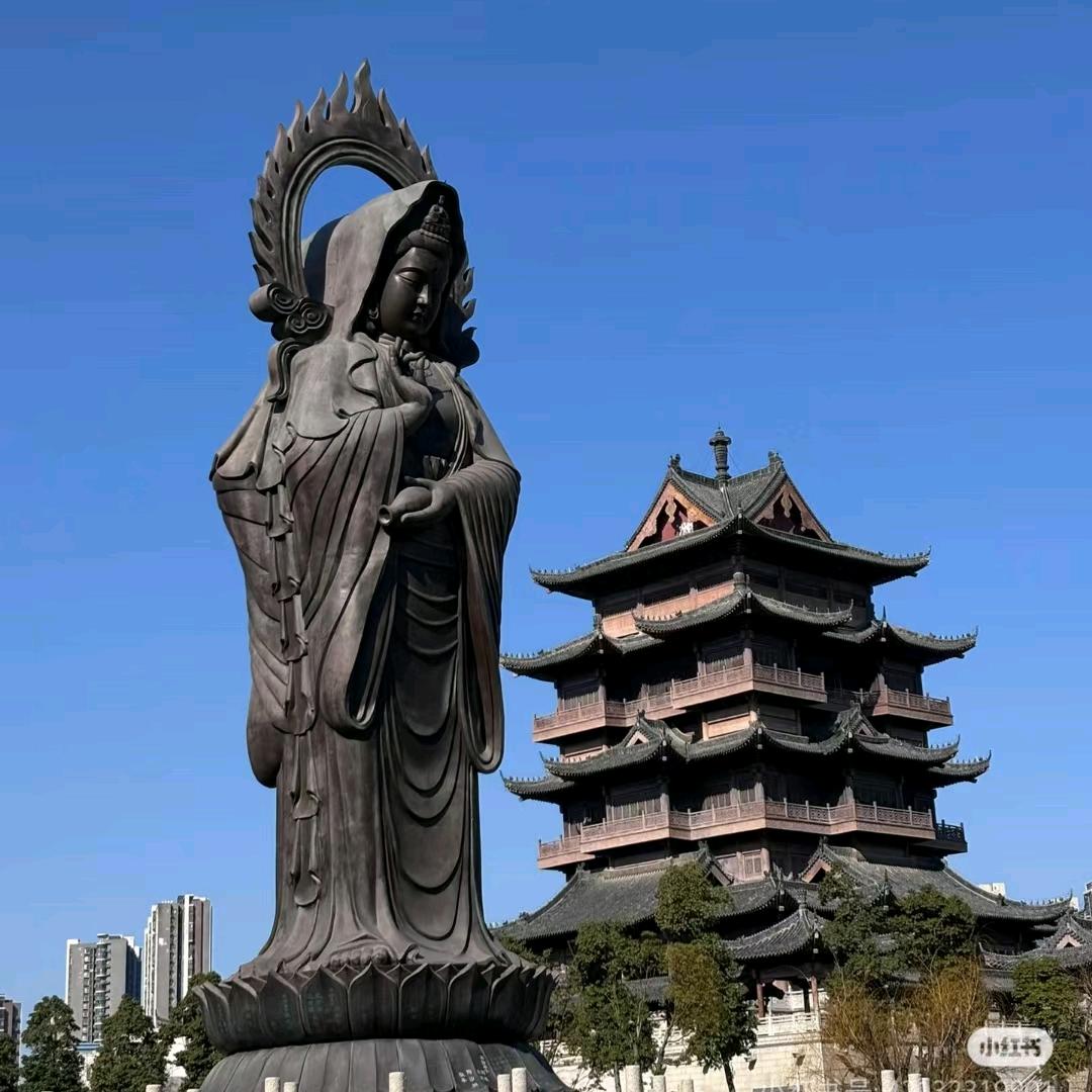 知识搬运工