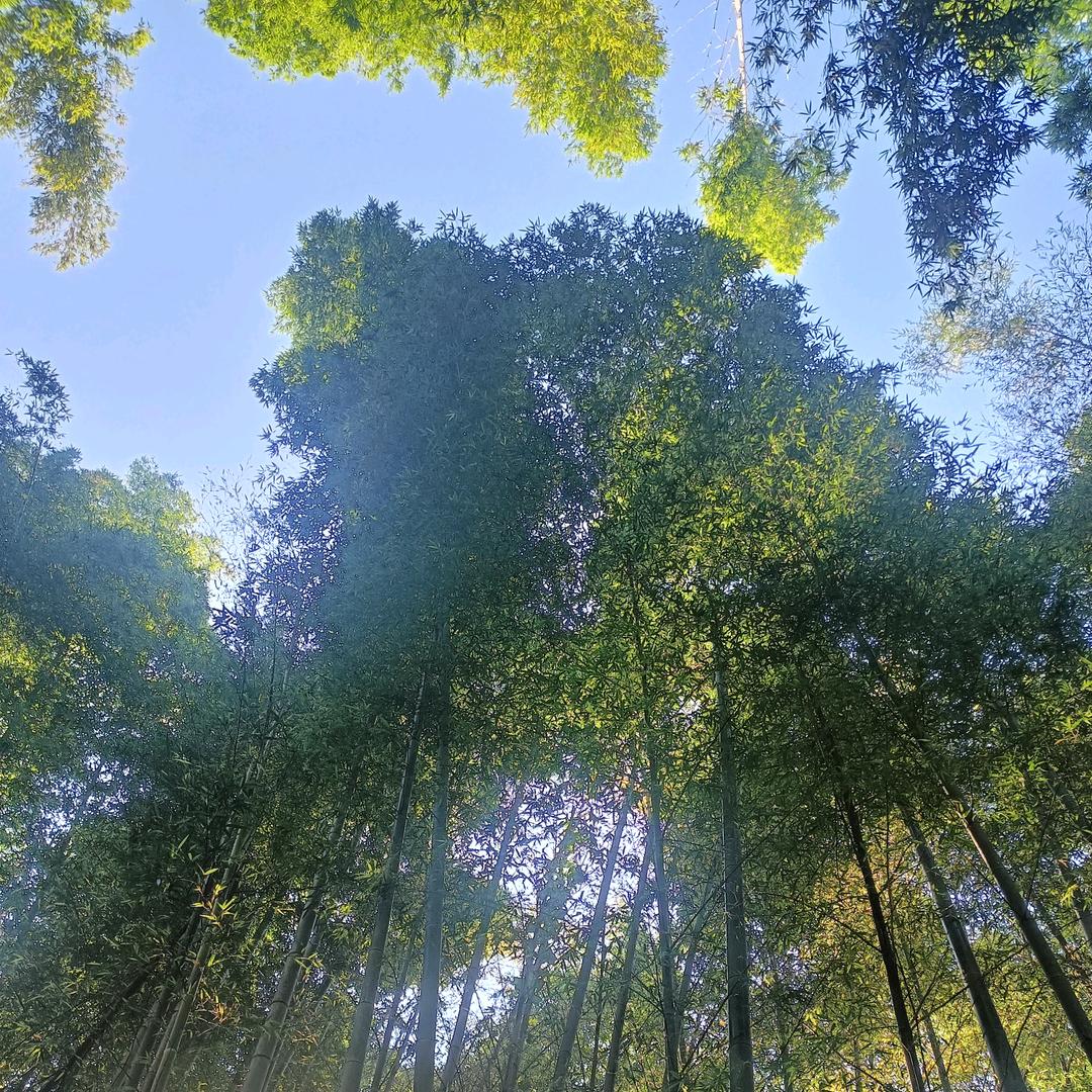 简单快乐