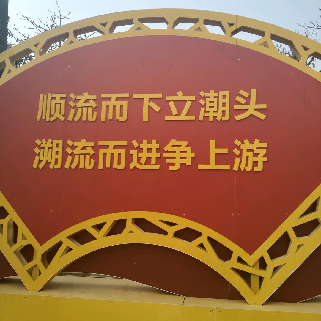 随缘就好