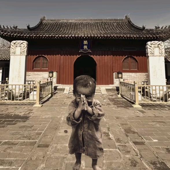 两只小白兔