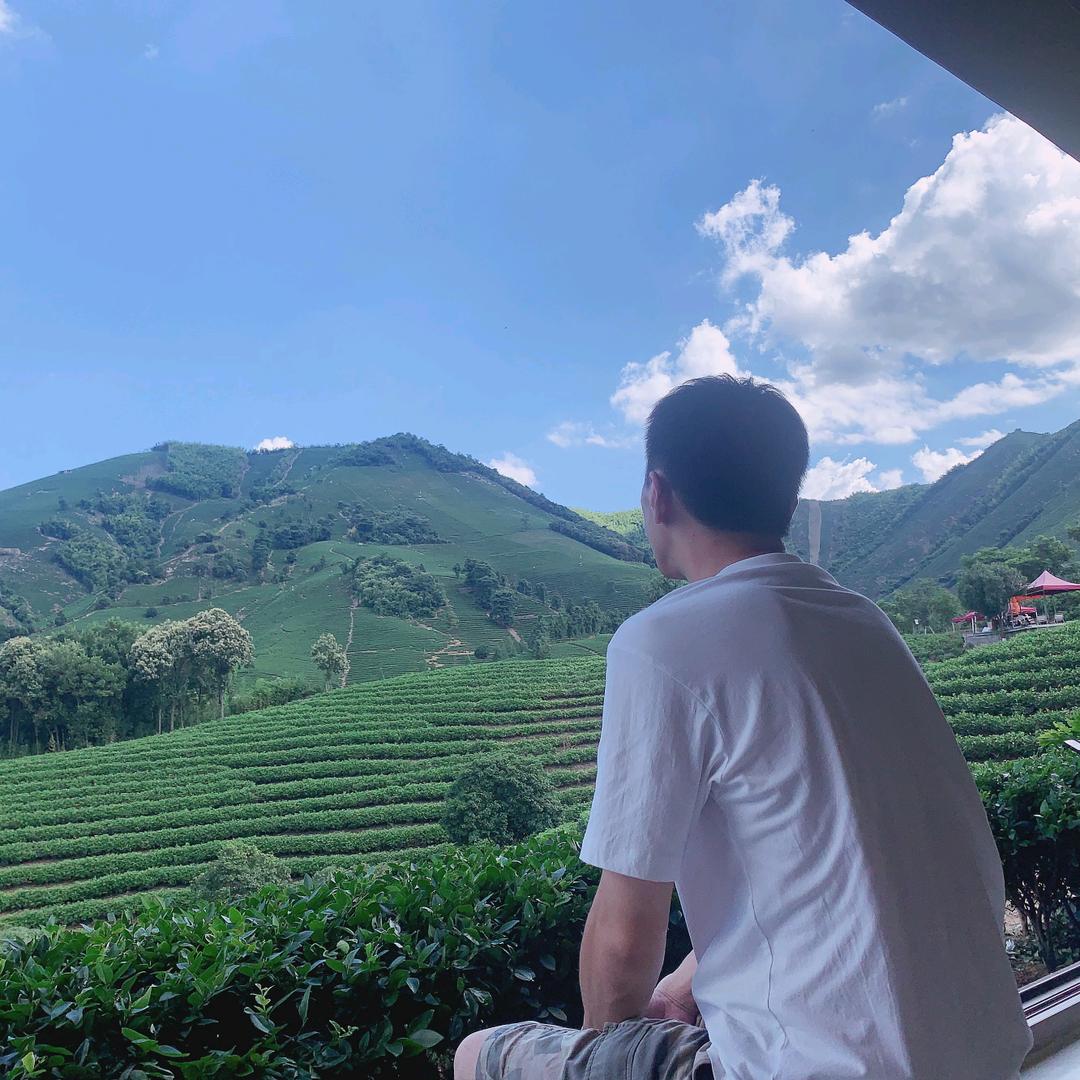 无心（金铲铲）