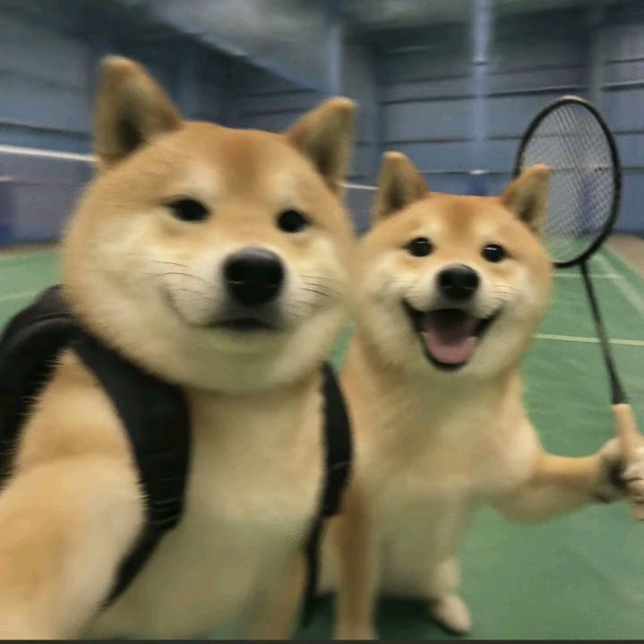 上班就困