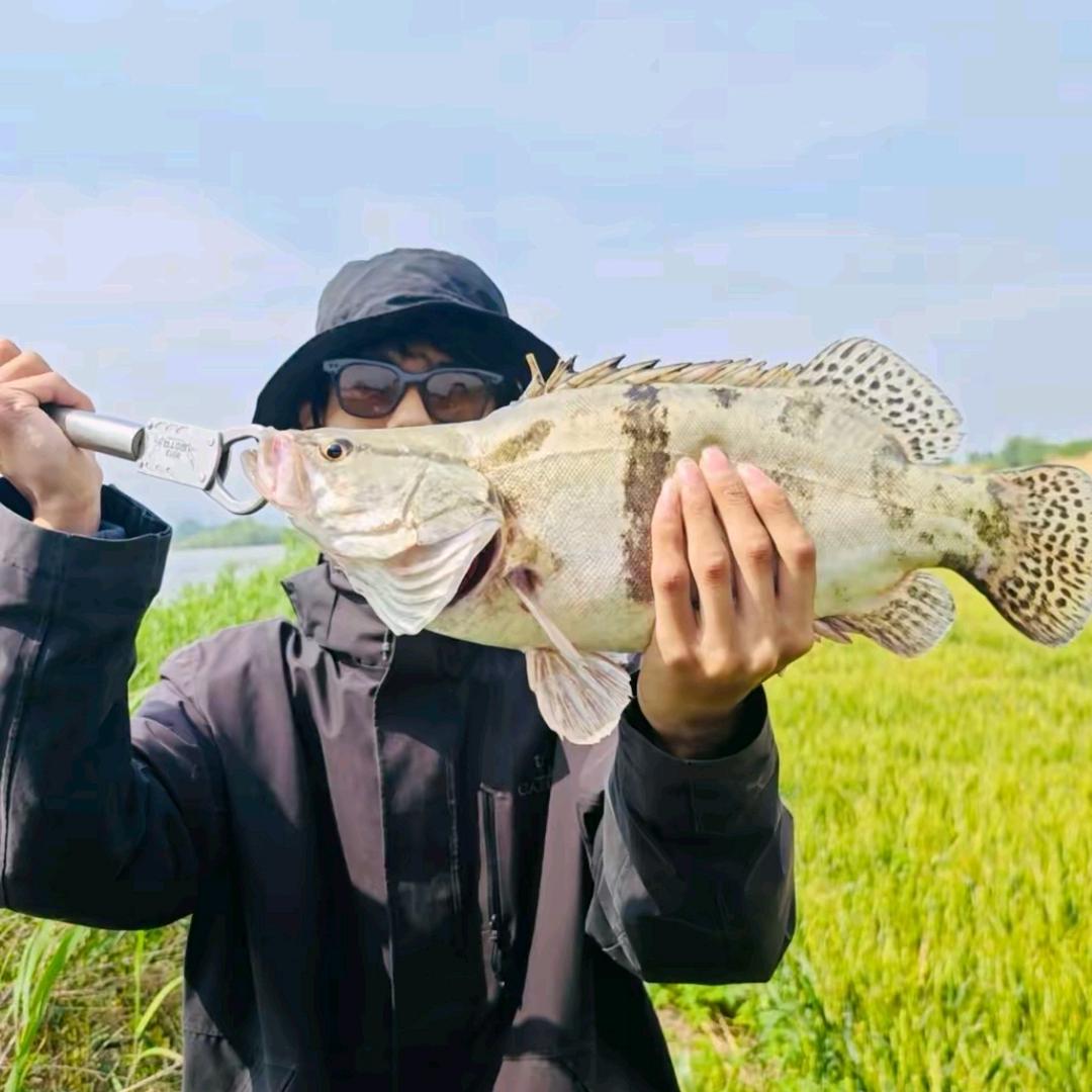 巨顺再生资源百货