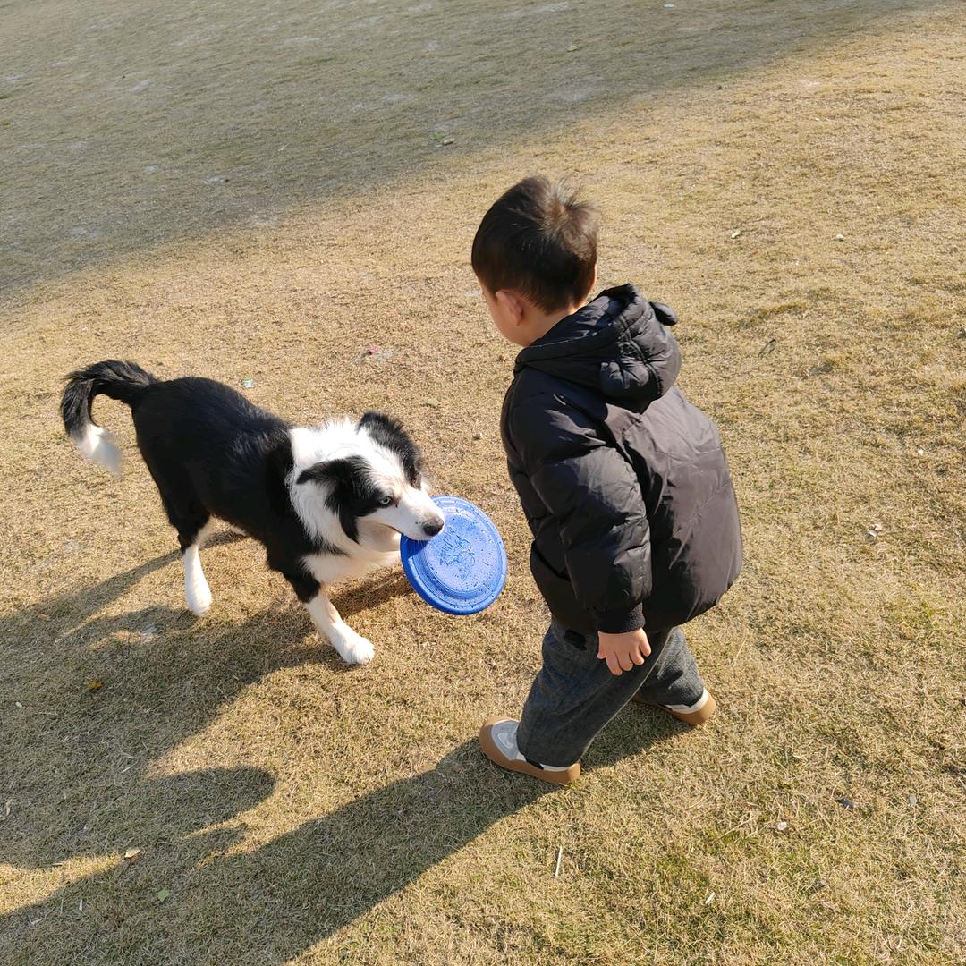 🐨考拉你是最胖棒的👍🏻