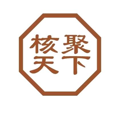 核聚天下