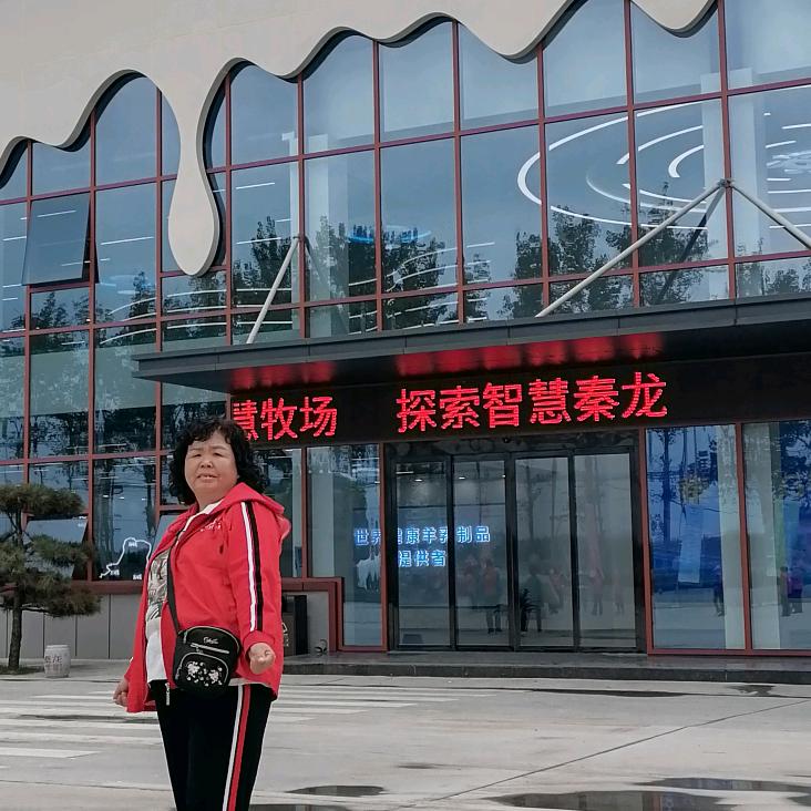 我是老刘