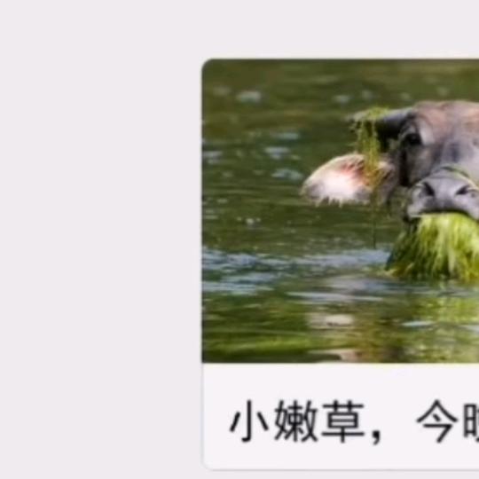 点击右上角