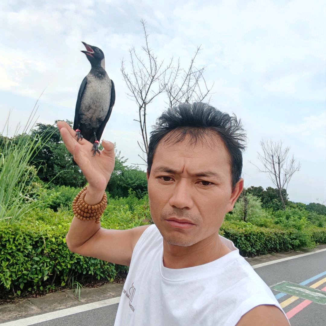 法号痴情